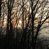 DSCN4175