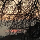 DSCN4185