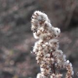 DSCN4197