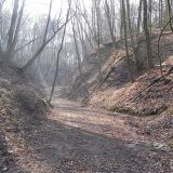 DSCN4199