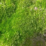 DSCN4229