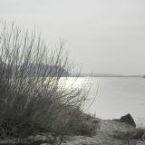 DSCN4276