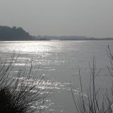 DSCN4279