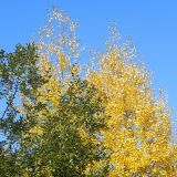 dscn3574