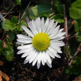 dscn4514