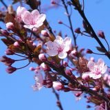 dscn4571
