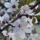 dscn4648