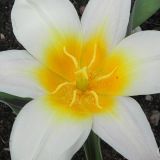 dscn4672