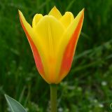 dscn4685