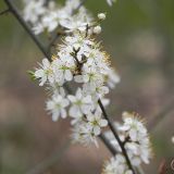 dscn4740