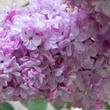dscn4884