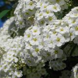 dscn4898