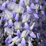 dscn4917