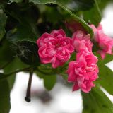 dscn4954