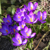 dscn4370