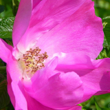 dscn4945